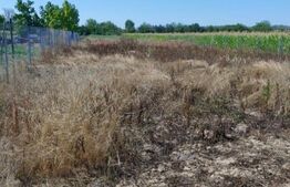 Teren extravilan 26 ari, zona IPL