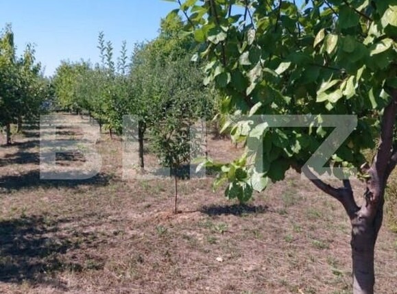 Teren de vânzare Exterior Nord - 139910TV | BLITZ Satu Mare | Poza3