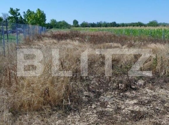 Teren de vânzare Exterior Nord - 139910TV | BLITZ Satu Mare | Poza2