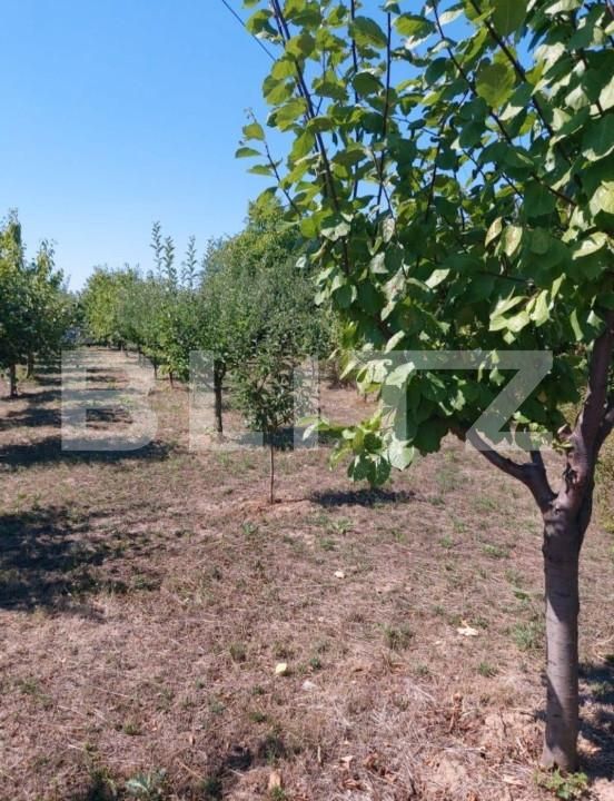 Teren de vânzare Exterior Nord - 139910TV | BLITZ Satu Mare | Poza3