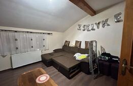 De vanzare casa  240 mp , zona Draxlmaier