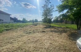 Teren de vânzare Botiz - 175262TV | BLITZ Satu Mare | Poza5