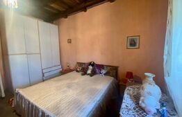 Casa cu 2 camere + 27 ari teren in Culciu Mic 