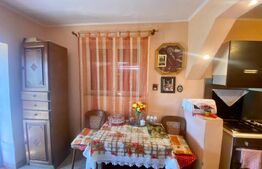 Casa cu 2 camere + 27 ari teren in Culciu Mic 