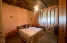 Casa cu 2 camere + 27 ari teren in Culciu Mic 