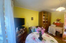 Casa cu 2 camere + 27 ari teren in Culciu Mic 