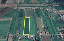 Teren intravilan | 11.500mp | Decebal