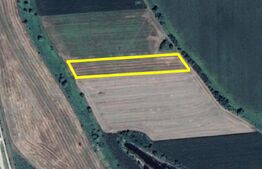 Teren agricol de vânzare în zona Careiului