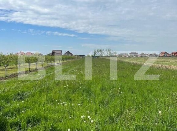 Teren de vânzare Periferie - 139931TV | BLITZ Satu Mare | Poza2