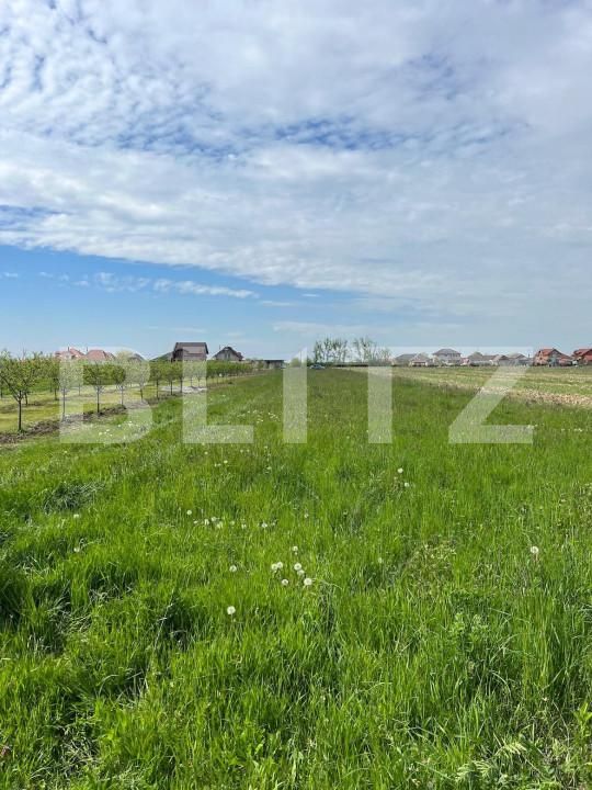 Teren de vânzare Periferie - 139931TV | BLITZ Satu Mare | Poza2