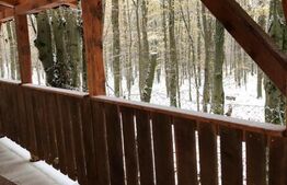 Oportunitate Unică: 2 Parcele Adiacente, Ideal pentru Rezidență sau Investiție