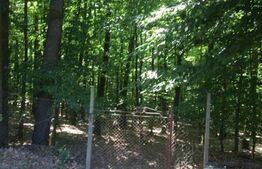 Oportunitate Unică: 2 Parcele Adiacente, Ideal pentru Rezidență sau Investiție