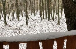 Oportunitate Unică: 2 Parcele Adiacente, Ideal pentru Rezidență sau Investiție