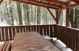 Oportunitate Unică: 2 Parcele Adiacente, Ideal pentru Rezidență sau Investiție