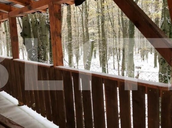 Teren de vânzare Exterior Est - 139933TV | BLITZ Satu Mare | Poza1