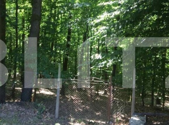 Teren de vânzare Exterior Est - 139933TV | BLITZ Satu Mare | Poza2