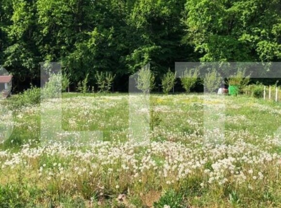 Teren de vânzare Exterior Est - 139933TV | BLITZ Satu Mare | Poza5