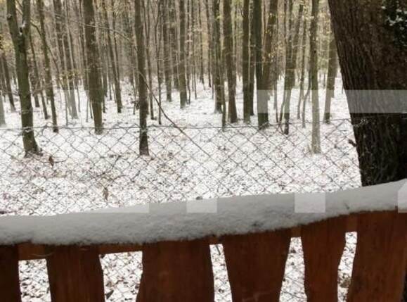 Teren de vânzare Exterior Est - 139933TV | BLITZ Satu Mare | Poza4