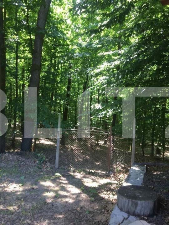 Teren de vânzare Exterior Est - 139933TV | BLITZ Satu Mare | Poza2