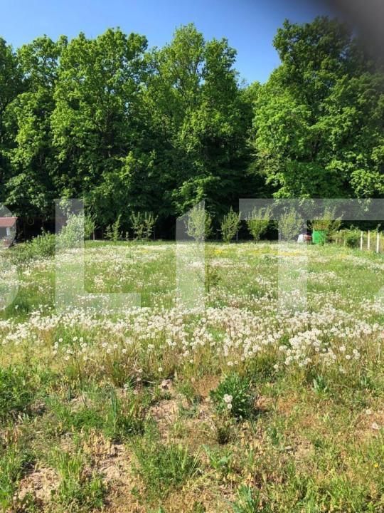 Teren de vânzare Exterior Est - 139933TV | BLITZ Satu Mare | Poza5