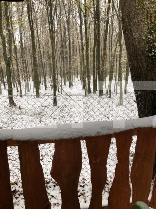 Teren de vânzare Exterior Est - 139933TV | BLITZ Satu Mare | Poza4