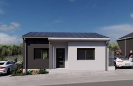 Case de vanzare - zona Viile Satu Mare