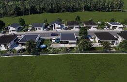 Case de vanzare - zona Viile Satu Mare