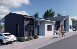 Case de vanzare - zona Viile Satu Mare