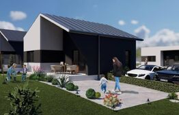 Case de vanzare - zona Viile Satu Mare