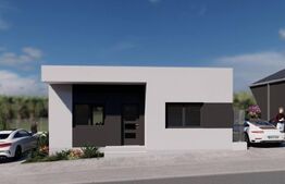 Case de vanzare - zona Viile Satu Mare