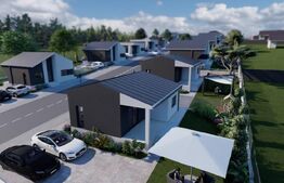 Case de vanzare - zona Viile Satu Mare