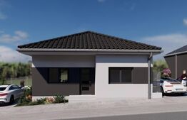 Case de vanzare - zona Viile Satu Mare