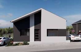 Case de vanzare - zona Viile Satu Mare