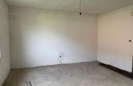 Vânzare Casă Spațioasă cu Două Unități Locative Separate - Botiz