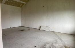 Vânzare Casă Spațioasă cu Două Unități Locative Separate - Botiz