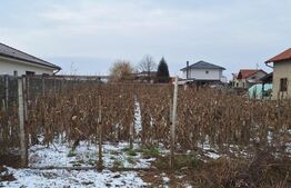 Teren la intrare in Lazuri