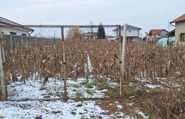 Teren la intrare in Lazuri