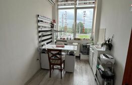 Spatii comerciale , Zona Botizului