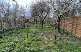 Casă Spațioasă, zona Cartierul Titulescu, 9 ari teren