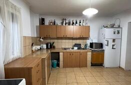 Casă Spațioasă, zona Cartierul Titulescu, 9 ari teren