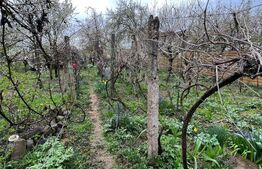 Casă Spațioasă, zona Cartierul Titulescu, 9 ari teren