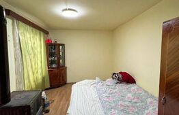 Casă Spațioasă, zona Cartierul Titulescu, 9 ari teren