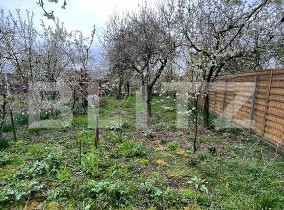 Casa de vânzare 5 camere Titulescu - 144650CV | BLITZ Satu Mare | Poza11