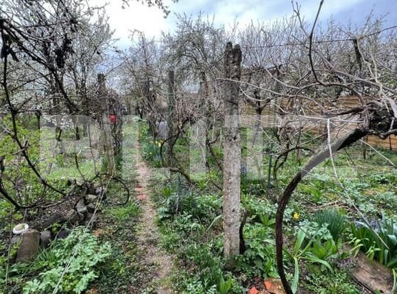 Casa de vânzare 5 camere Titulescu - 144650CV | BLITZ Satu Mare | Poza9