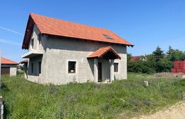 Casa individuala, 160mp, zona Martinesti