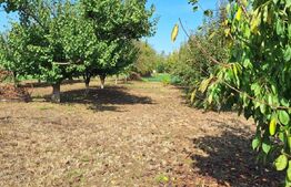 Teren Intravilant, 600 mp, zona Paulesti