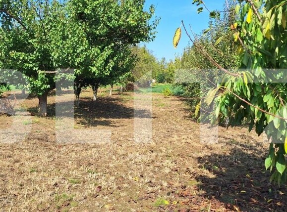 Teren de vânzare Paulesti - 144736TV | BLITZ Satu Mare | Poza1