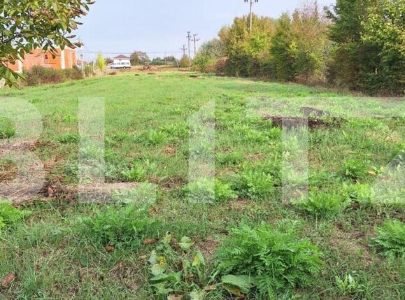 Teren de vânzare Mărtineşti - 144737TV | BLITZ Satu Mare | Poza1