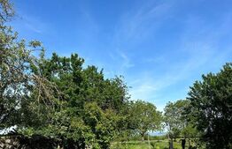 De vanzare casa , 153mp , 42 arii , zona Porumbesti