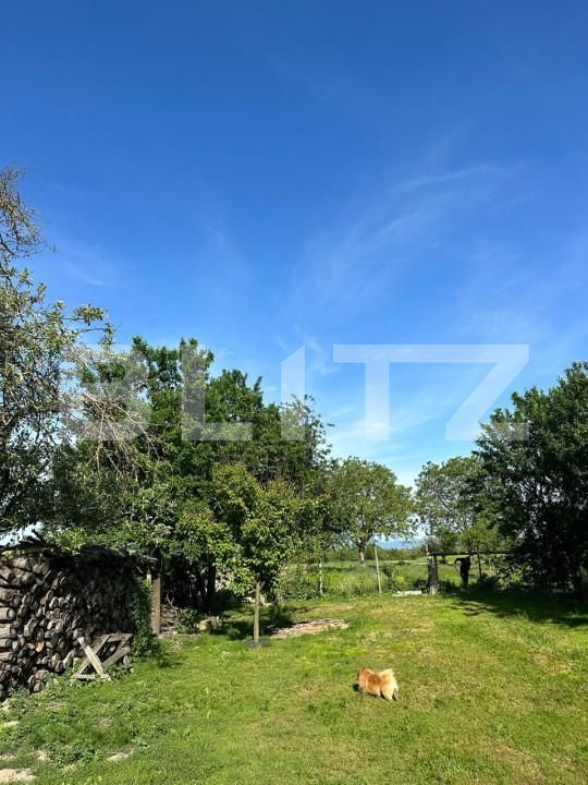 Casa de vânzare 5 camere Exterior Nord - 149243CV | BLITZ Satu Mare | Poza19